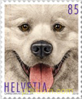ANIMALES