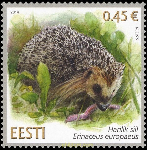 ERINACEINAE