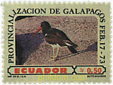 AVES DE LAS ISLAS GALAPAGOS