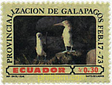 AVES DE LAS ISLAS GALAPAGOS