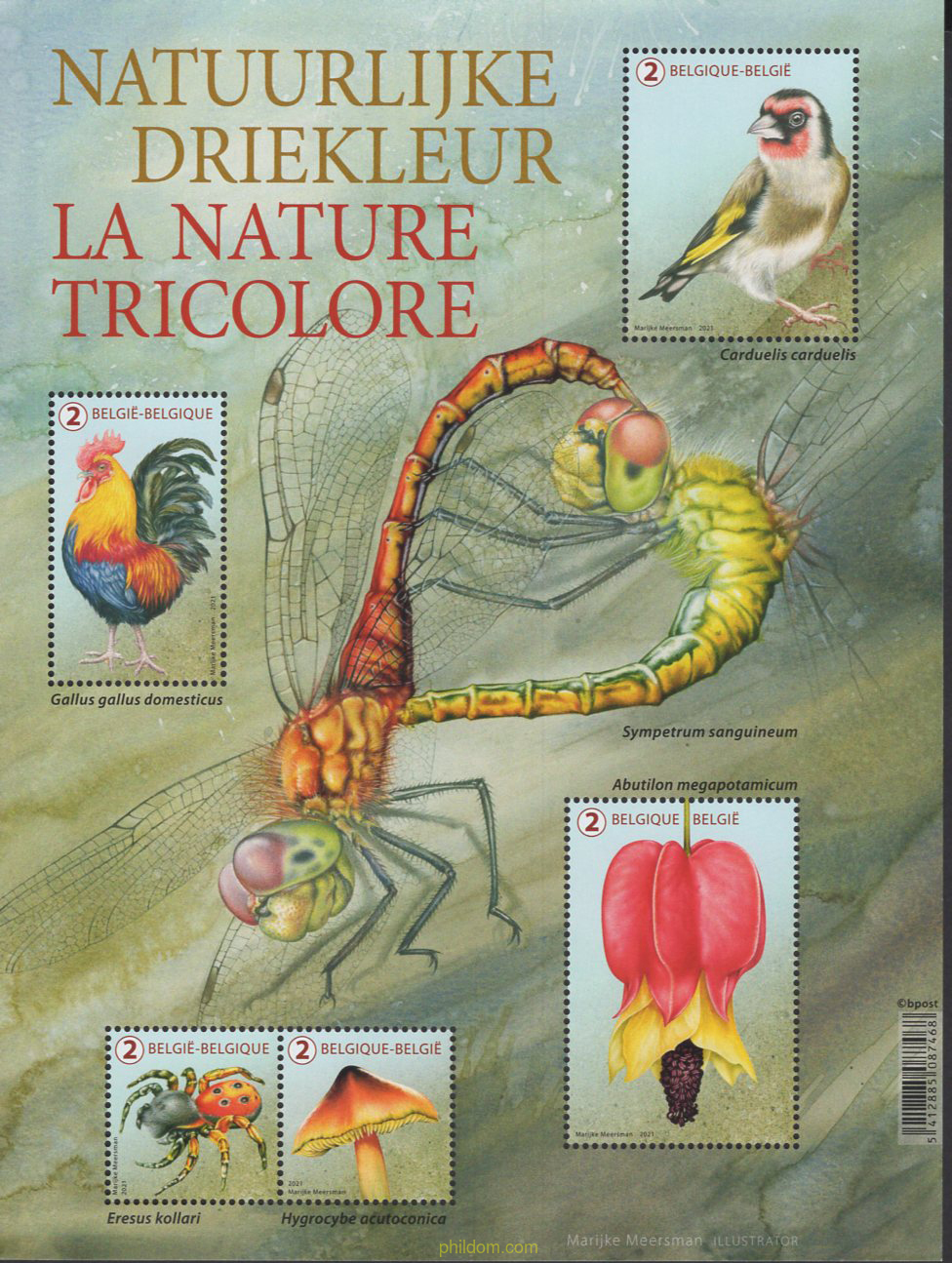 TRICOLOR NATURAL