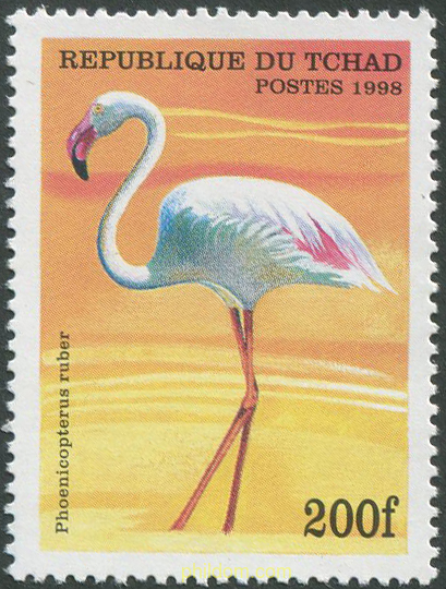 AVES