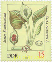 PLANTAS VENENOSAS