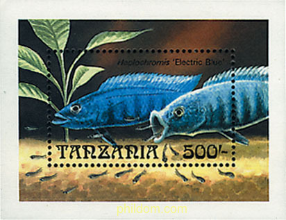 PECES