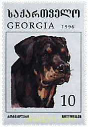 PERROS DE RAZA