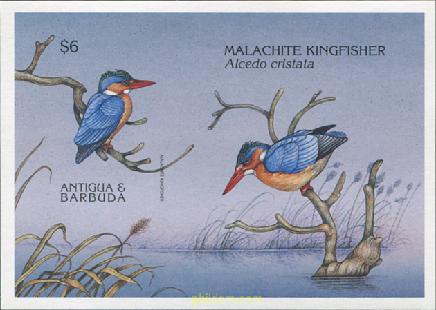 FAUNA EN PELIGRO DE EXTINCION