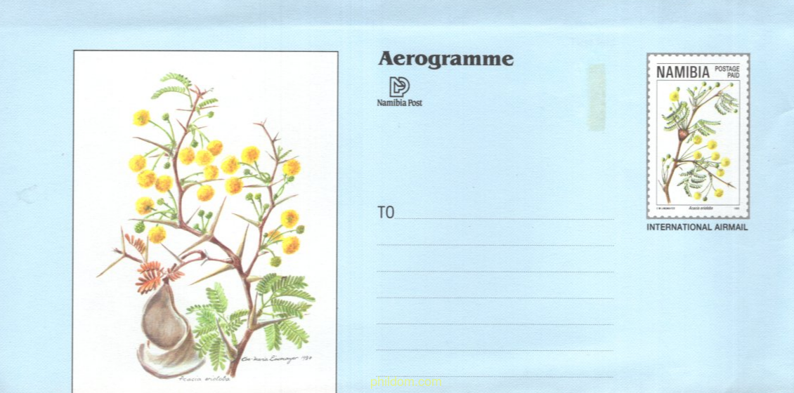 AEROGRAMA - FLORES