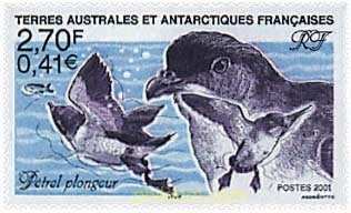 FAUNA ANTARTICA