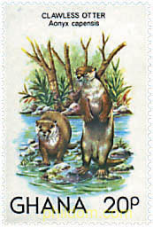 FAUNA Y FLORA