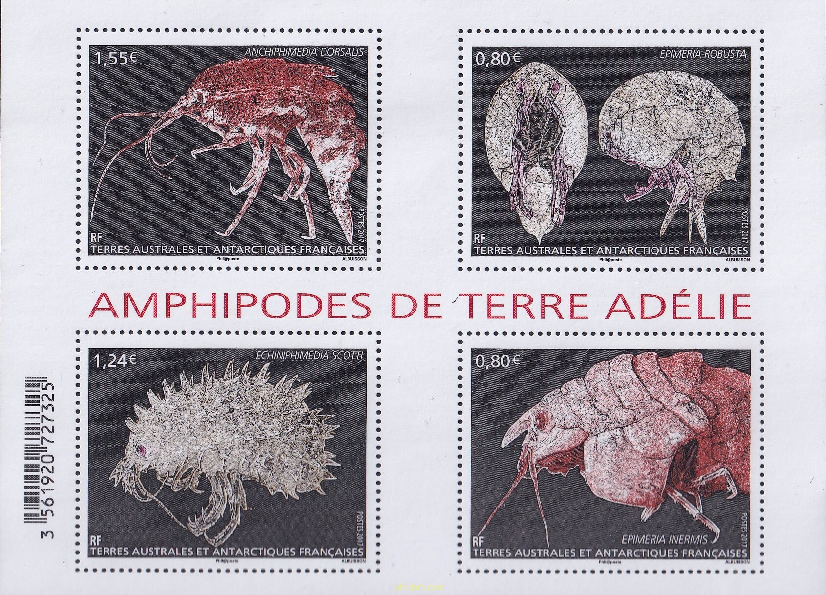 FAUNA. CRUSTÁCEOS