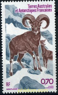 FAUNA