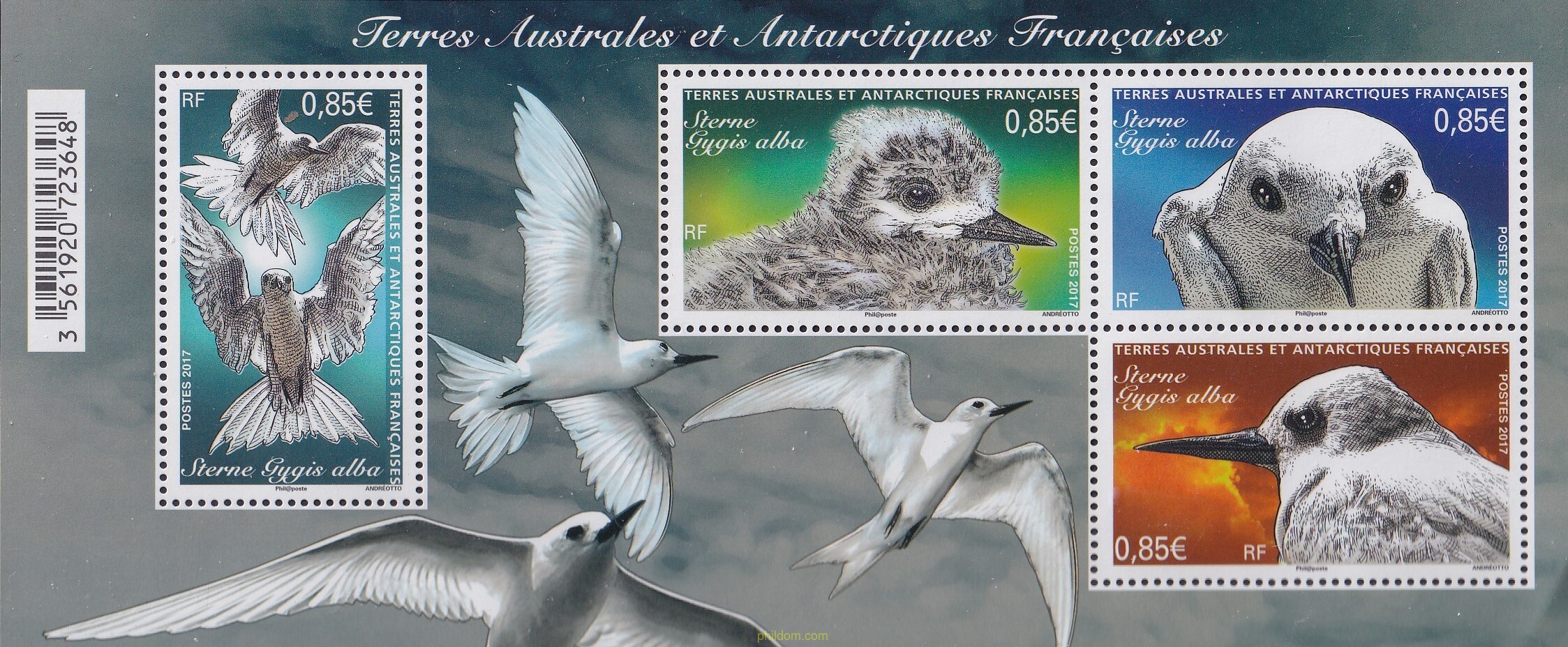 FAUNA AVIAR. STERNE DE TROMELIN