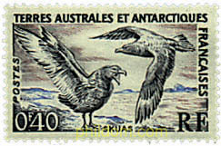 FAUNA