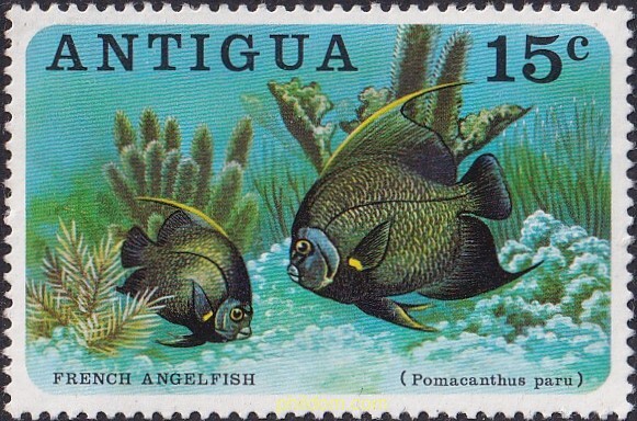 PECES