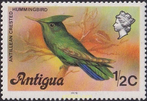 AVES, FLORES Y TEMAS DIVERSOS