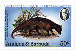 CENTENARIO DE LA MUERTE DE CHARLES DARWIN
