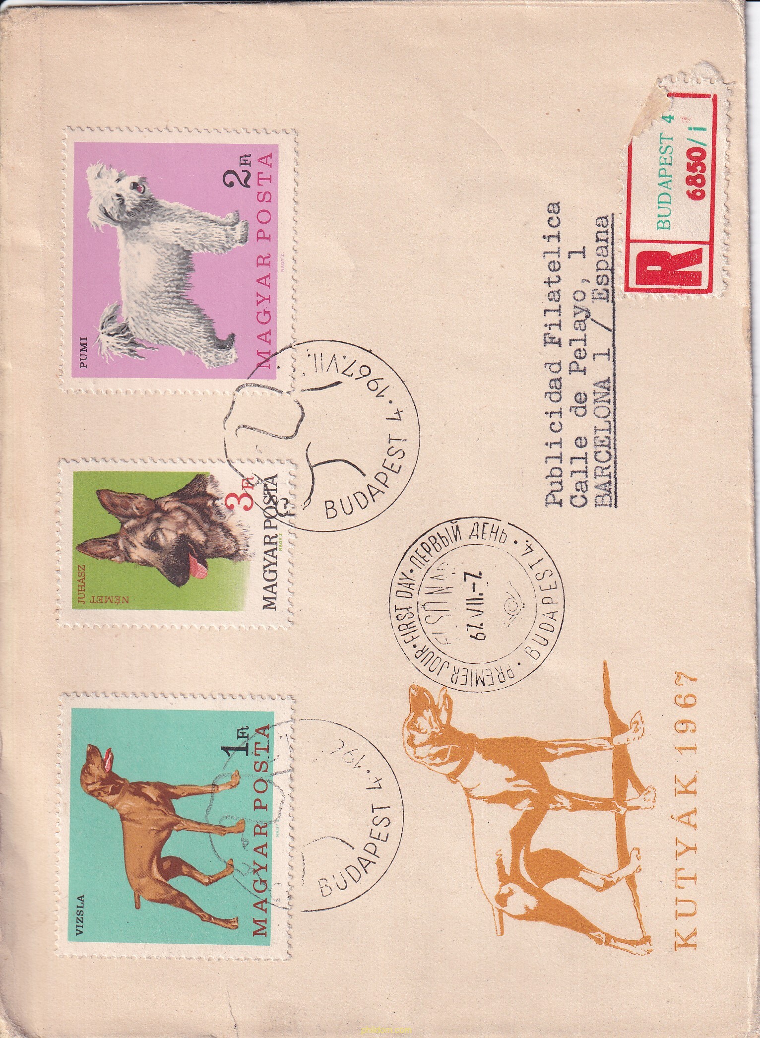 PERROS DE RAZA