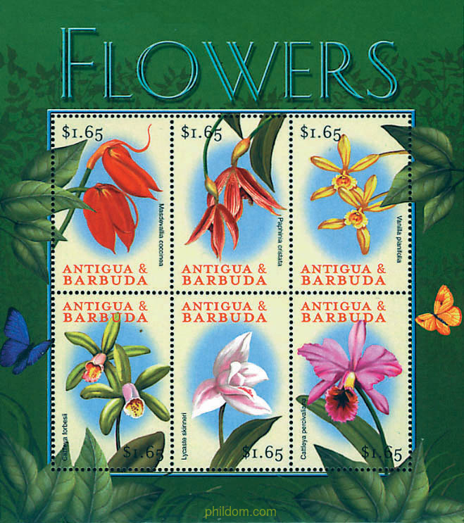 FLORES