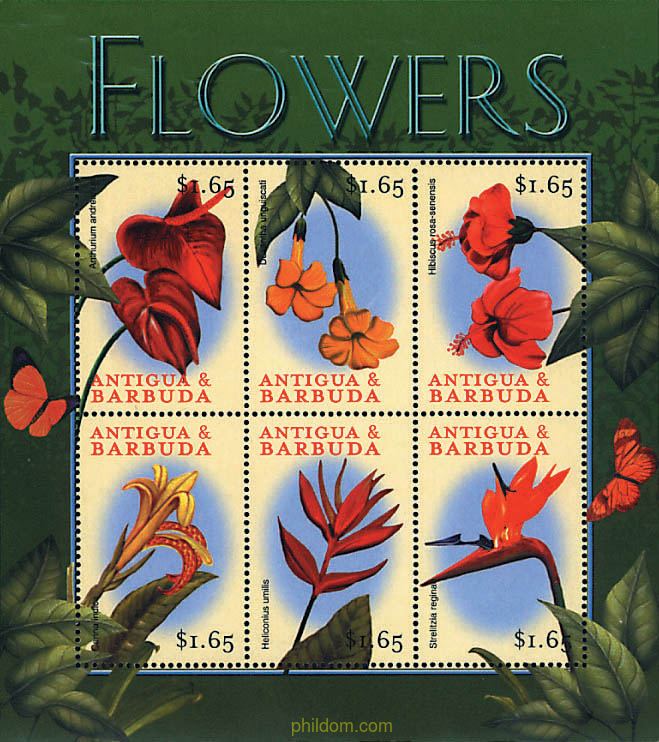 FLORES