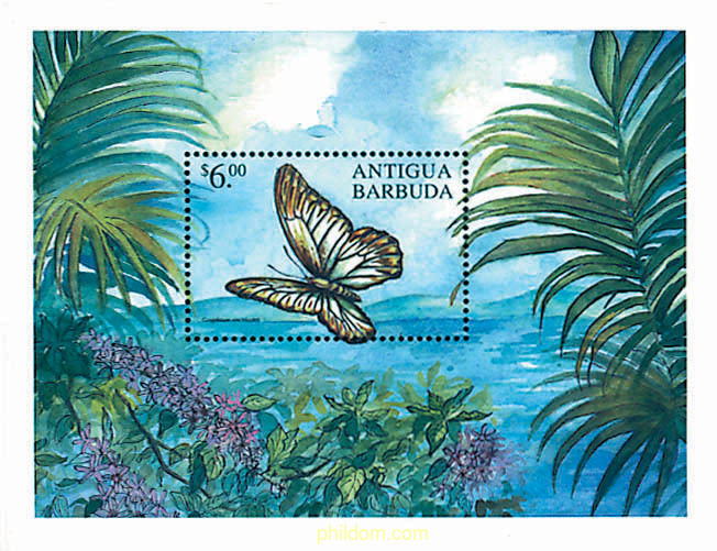 MARIPOSAS DE ANTIGUA