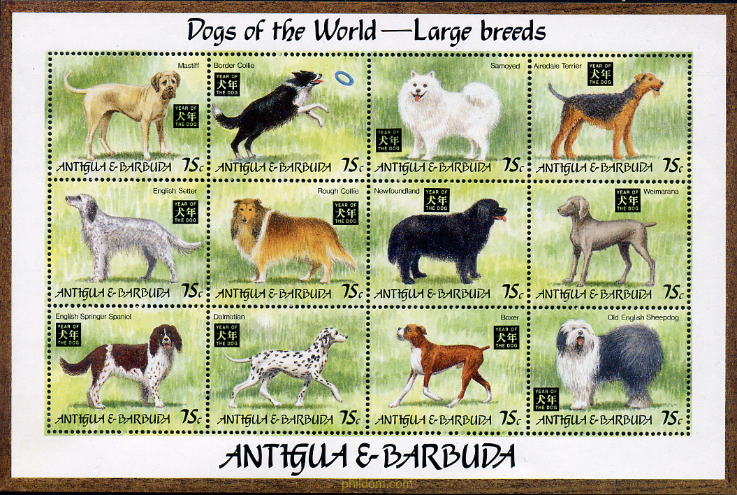 PERROS DE RAZA