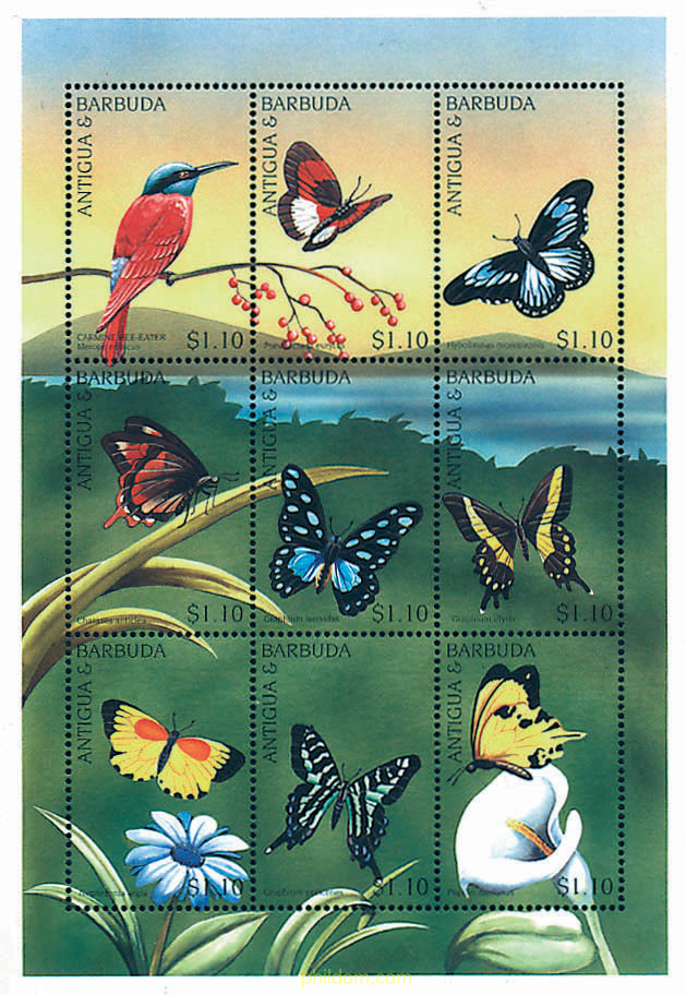 PAJAROS Y MARIPOSAS AFRICANAS