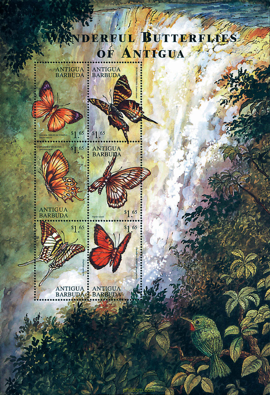 MARIPOSAS DE ANTIGUA
