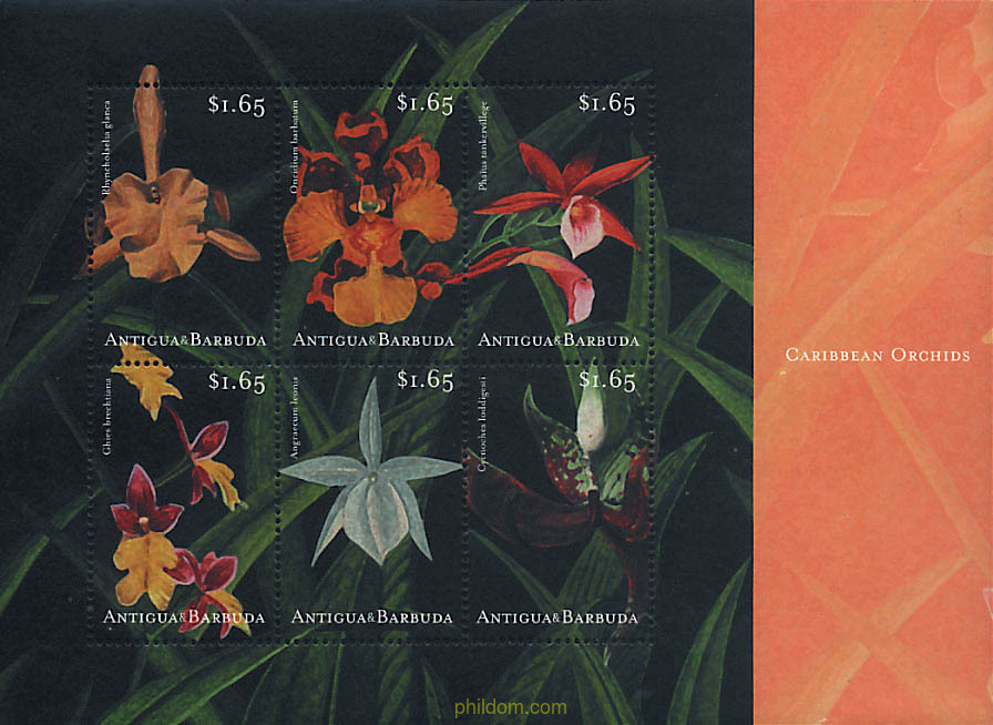 ORQUIDEAS DEL CARIBE