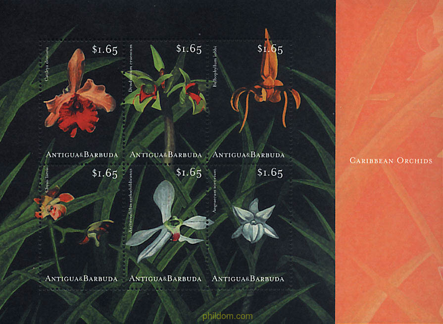 ORQUIDEAS DEL CARIBE