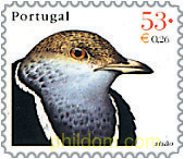 AVES