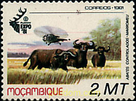 EXPOSICION INTERNACIONAL DE CAZA