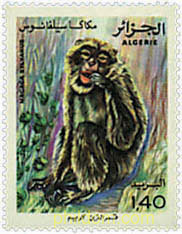 PROTECCION DE LA NATURALEZA