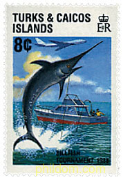 TORNEO DE PESCA DEPORTIVA