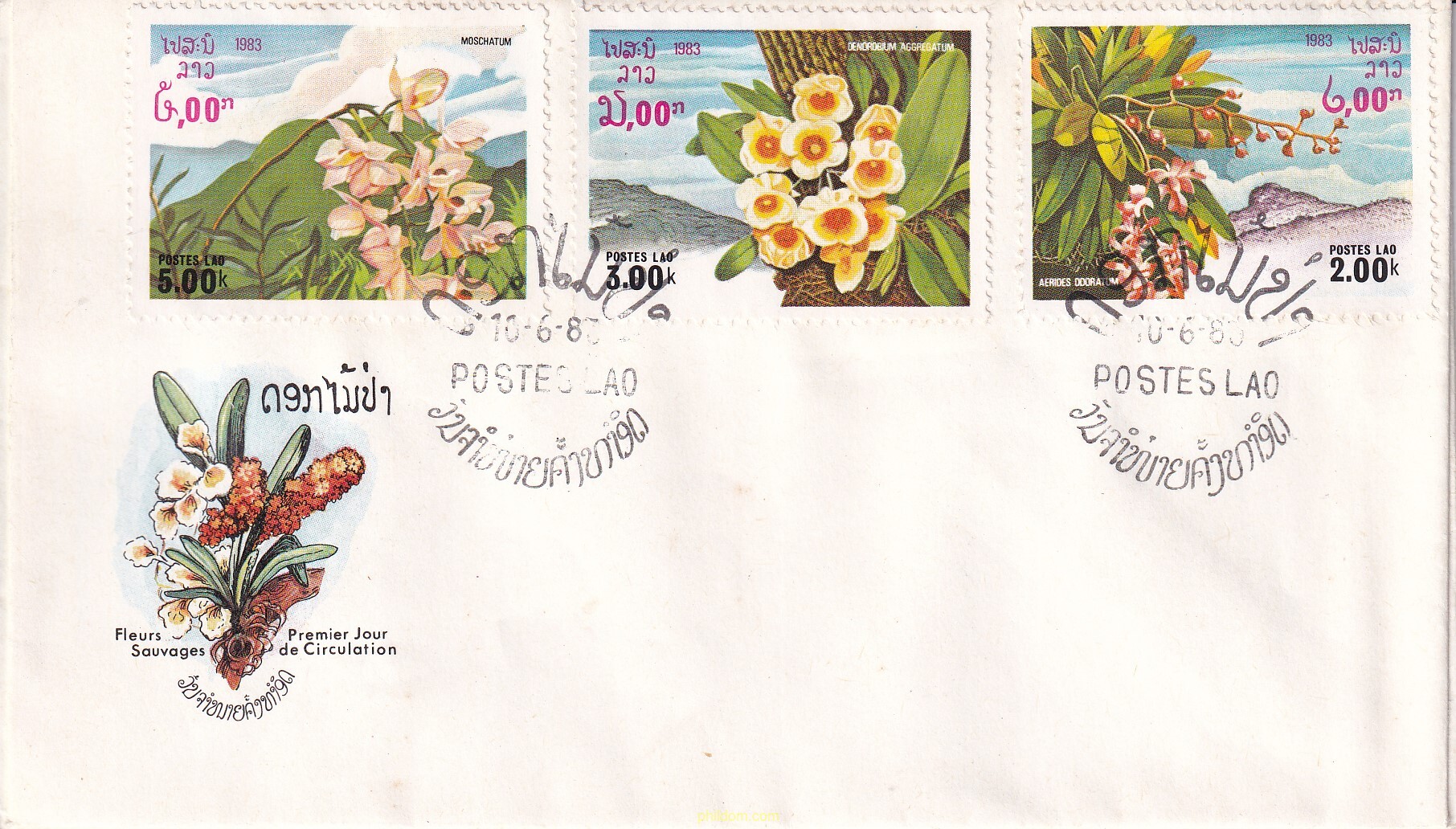 FLORES SILVESTRES