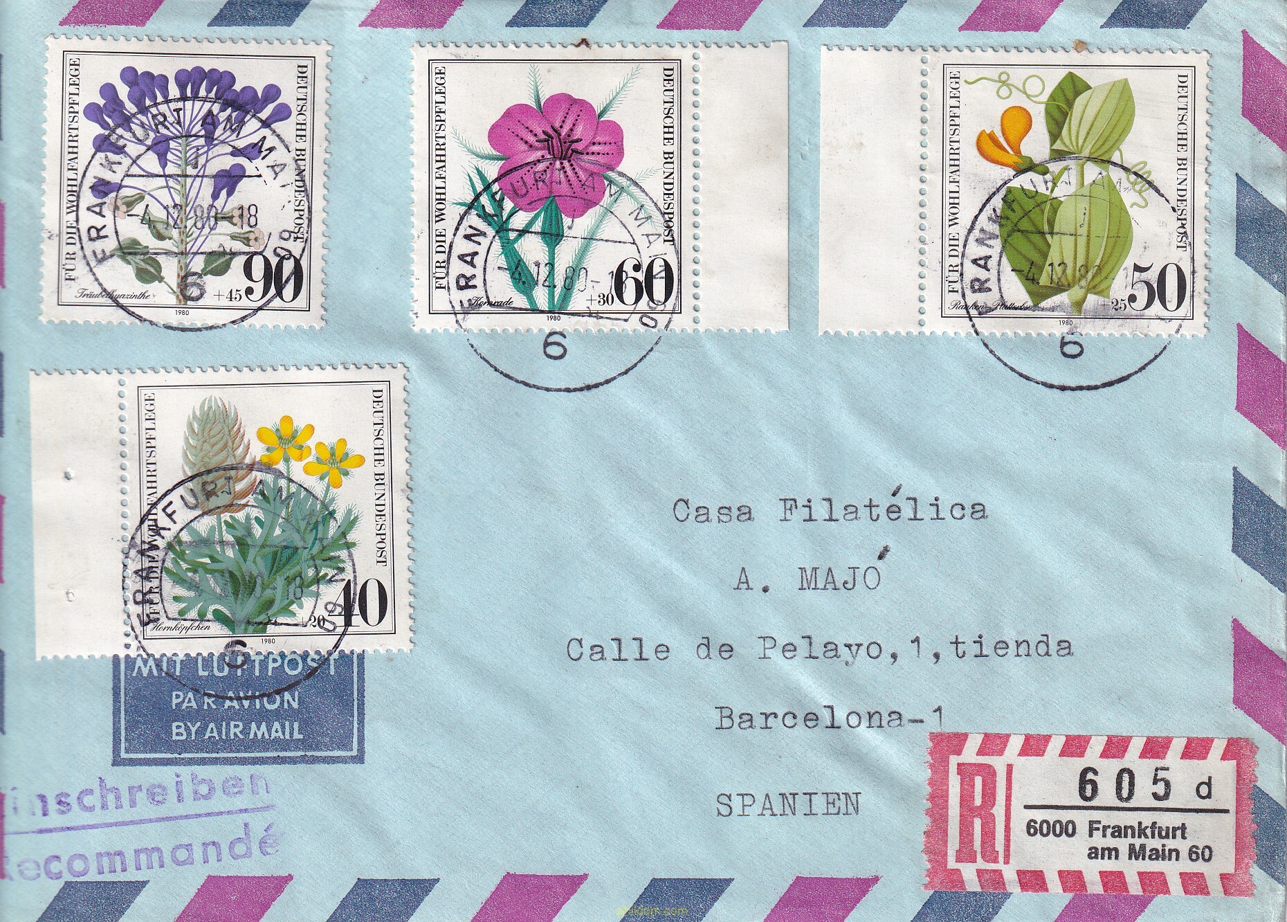 FLORES SILVESTRES