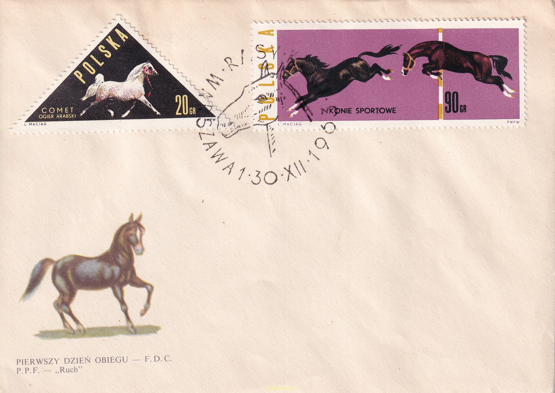 FAUNA. CABALLOS