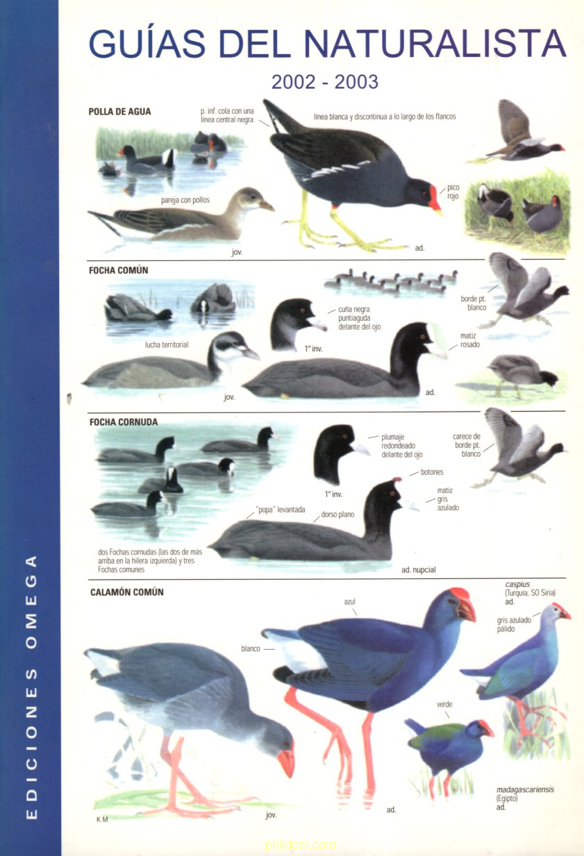 Guías del naturalista 2002 - 2003 ediciones omega Catalogo