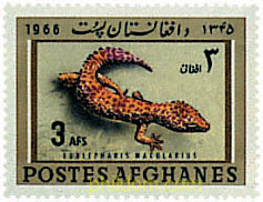 REPTILES