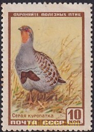 FAUNA