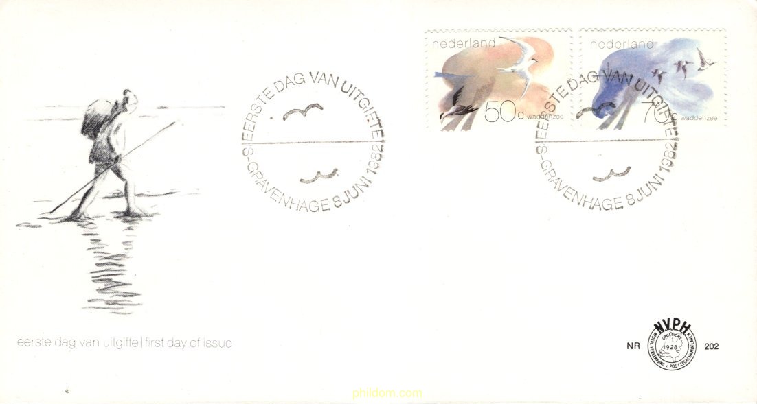 EL MAR DE WADDEN. PAJAROS