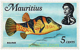 FAUNA MARINA