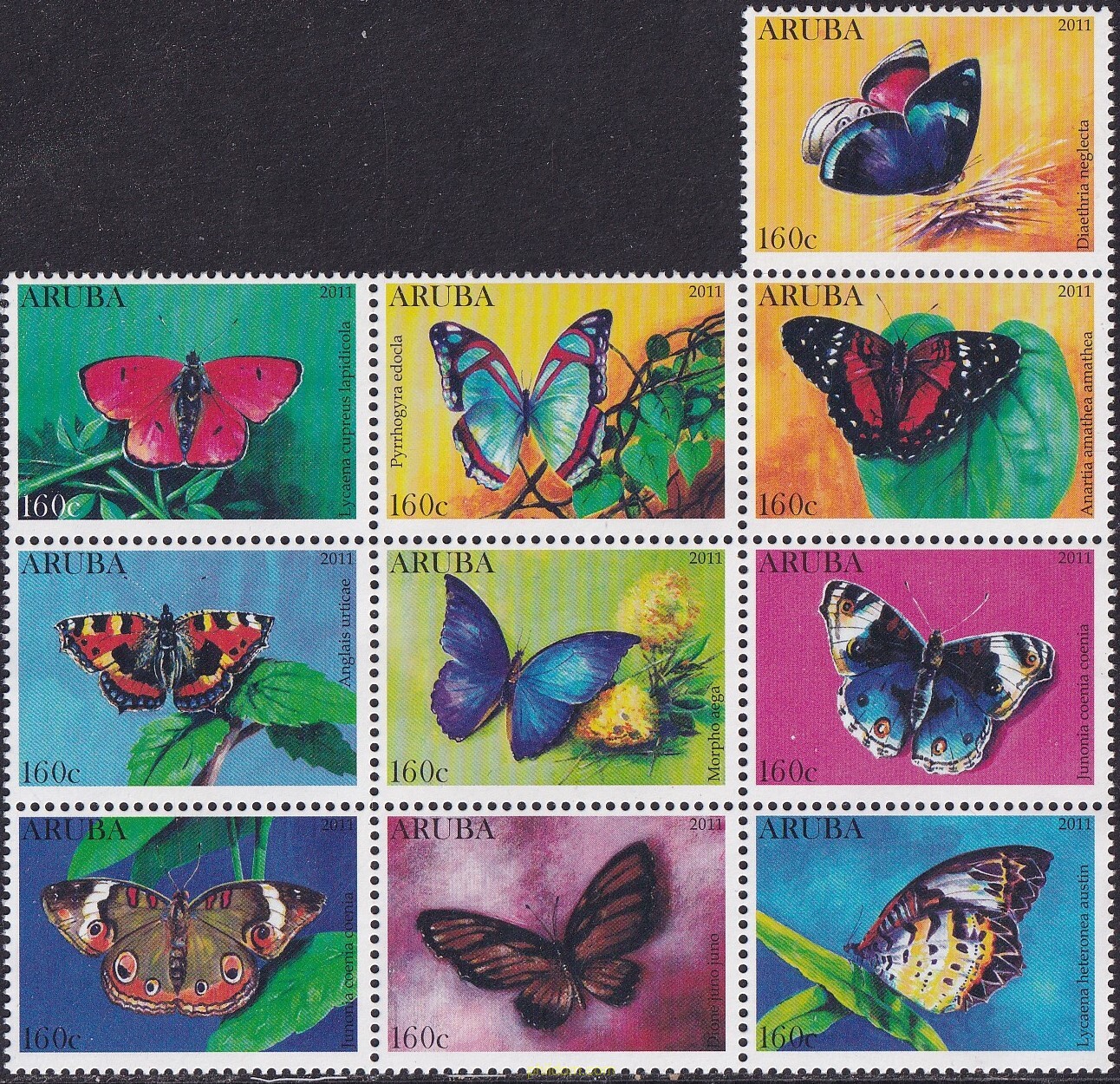MARIPOSAS