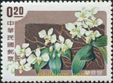 ORQUIDEAS
