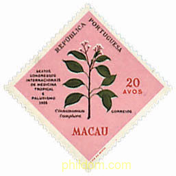 6 CONGRESO INTERNACIONAL DE MEDICINA TROPICAL