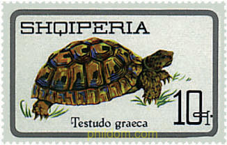 REPTILES Y TORTUGAS