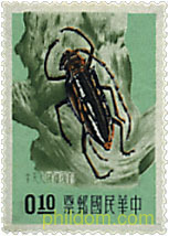 INSECTOS