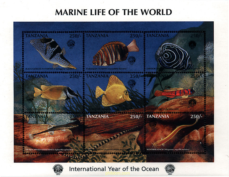 AÑO INTERNACIONAL DE LOS OCEANOS