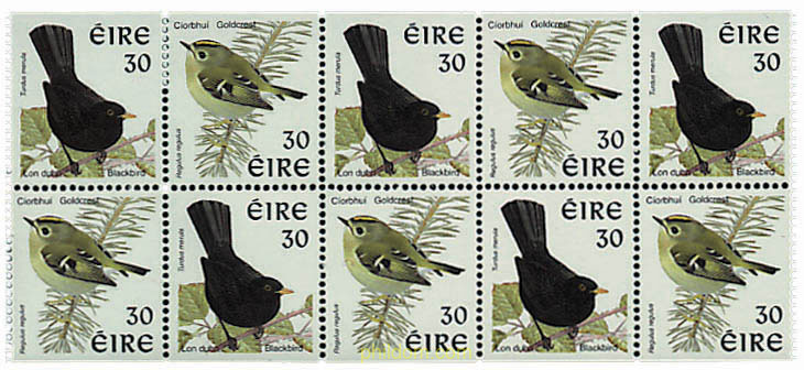 PAJAROS DE IRLANDA