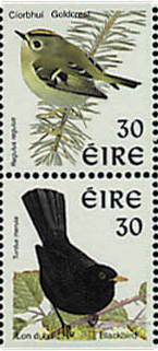 PAJAROS DE IRLANDA