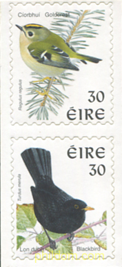 PAJAROS DE IRLANDA